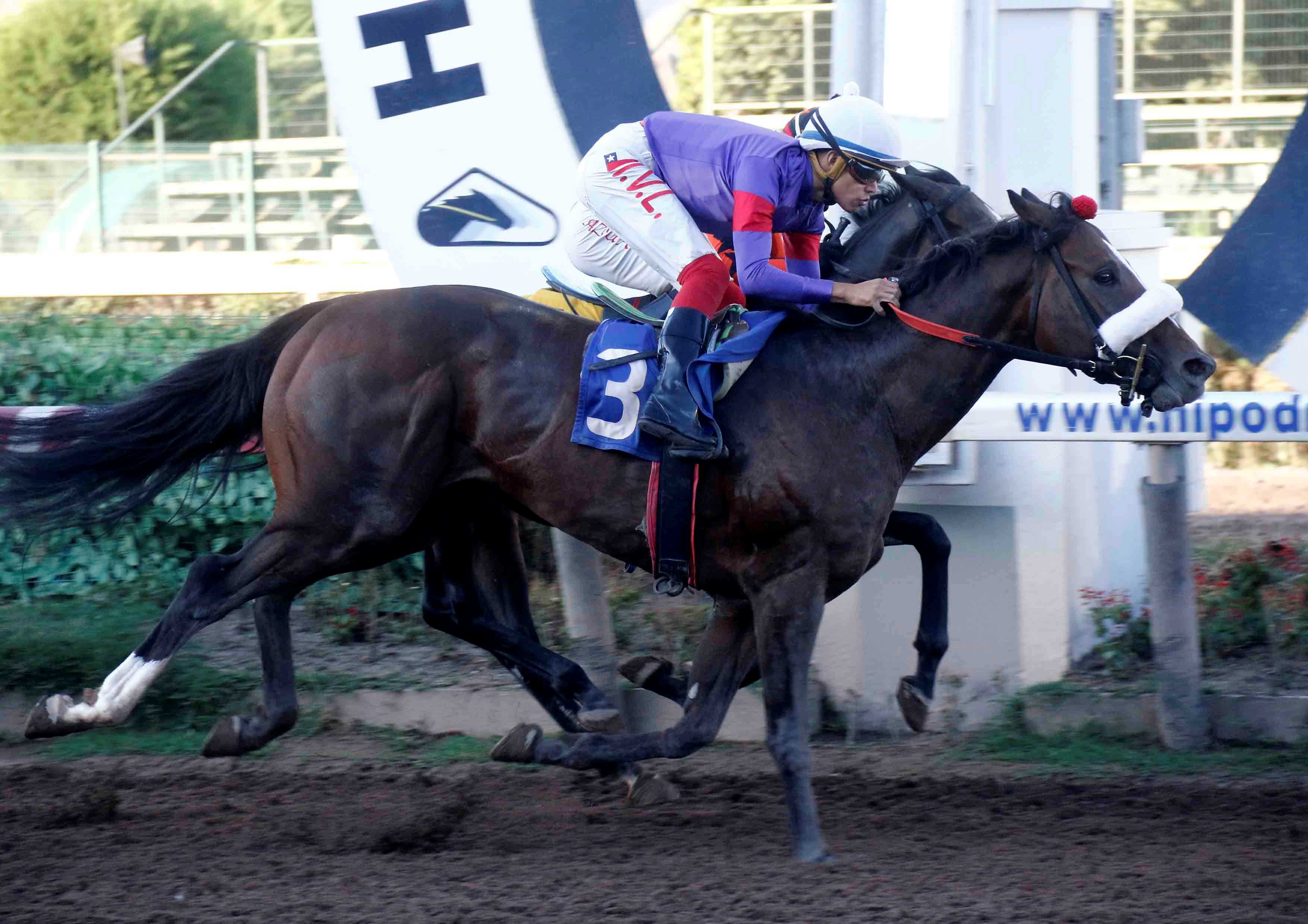  - Comunicaciones Matriarca